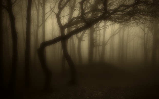 衣緒里 Iori Foggy Forest 霧深い森 Naturephotography Artphotography Forest Foggy Brown 森 霧 ブラウン アートフォト T Co Vhkfl0yjn1 Twitter