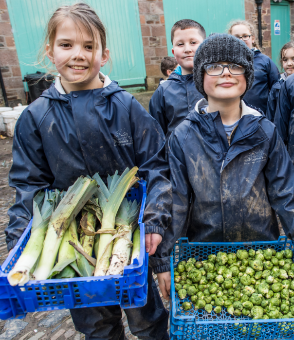 farmersforaweek's tweet photo. In celebration of #LeekWeek - meet some of our @farmersforaweek young farmers who help grow leeks in abundance in the kitchen gardens on our three farms. The children enjoy planting, harvesting and eating them along with other #SeasonalVeg during their farm visits. 💚🌱🌱 https://t.co/fbZGeYV60e