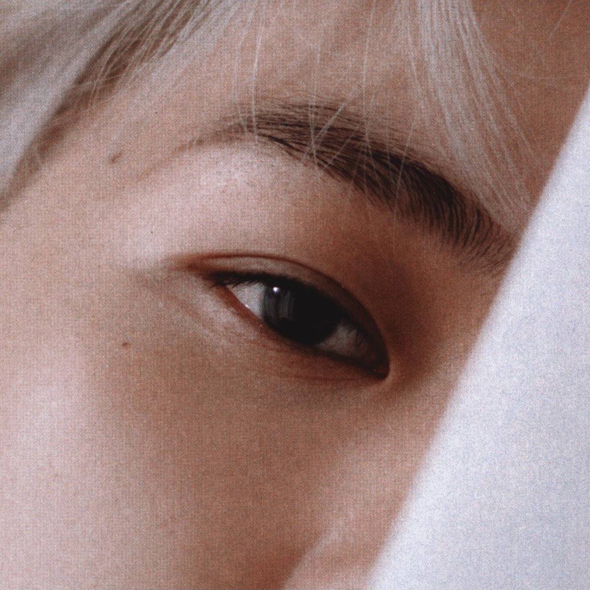 Bmylullaby's tweet photo. 𝐞𝐲𝐞𝐬. 𝐧𝐨𝐬𝐞. 𝐥𝐢𝐩𝐬. https://t.co/jzBpZs3gAy