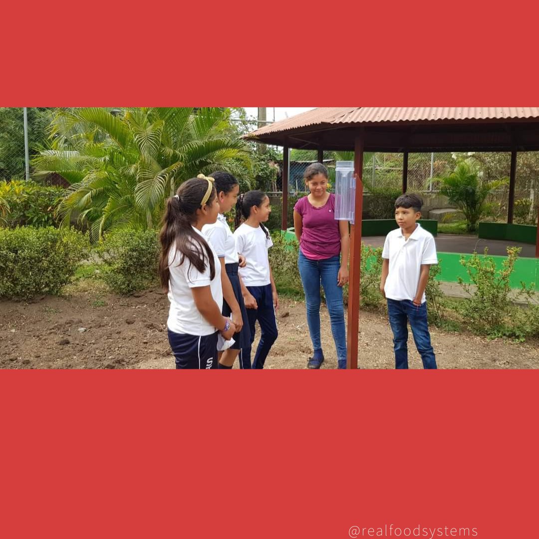 Check out our latest highlight on YA Bernis Cunningham and the work of the Planting Change Foundation! 

Read on to find out more about their latest project, which builds skills in environmental protection in schools and provides valuable data for local farmers.

#climate #action