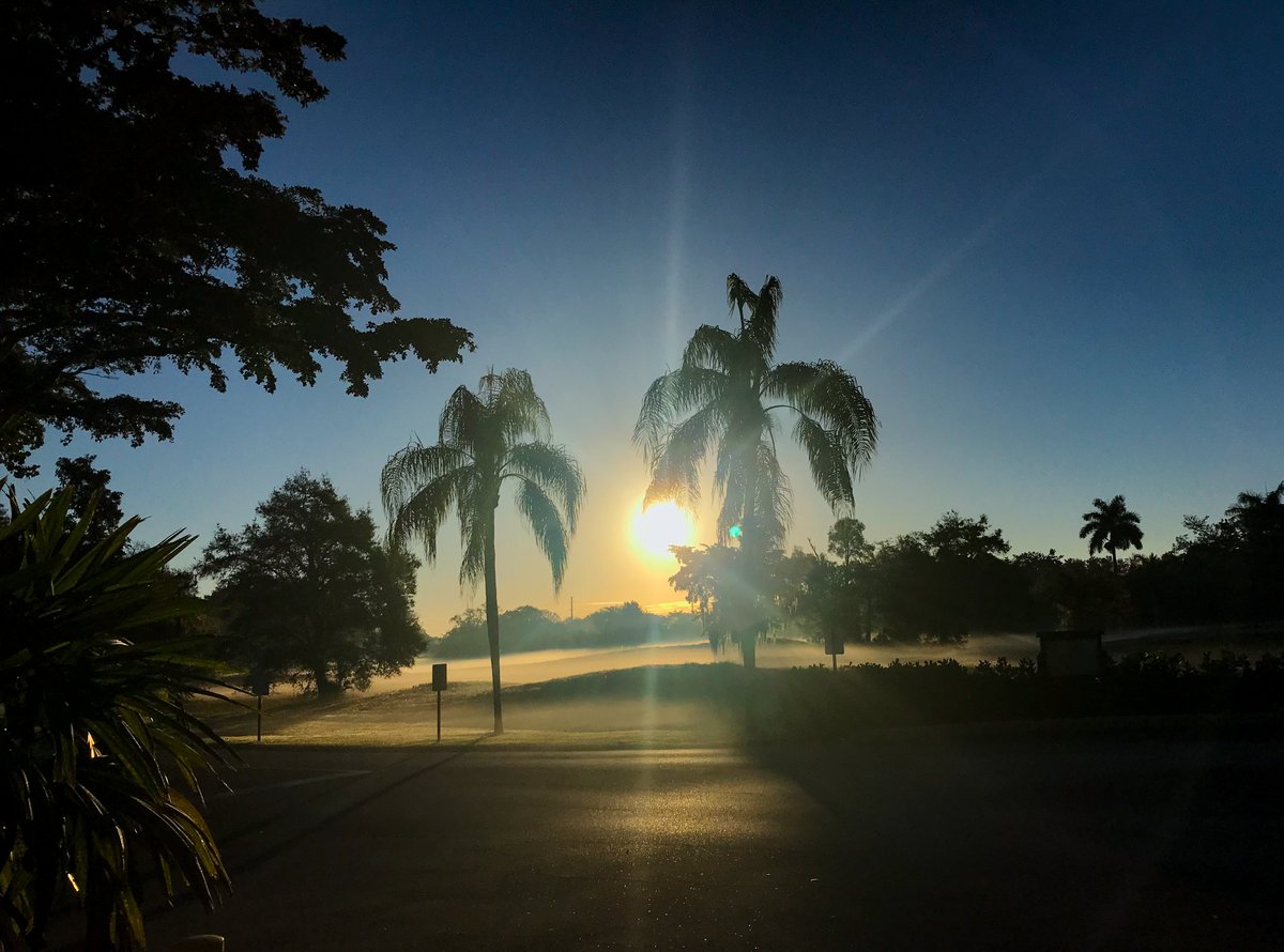 Misty Morning
Project 365 - January 17
Follow along as I take a year-long journey back into photography.
project365-jody.blogspot.com/2021/01/projec…