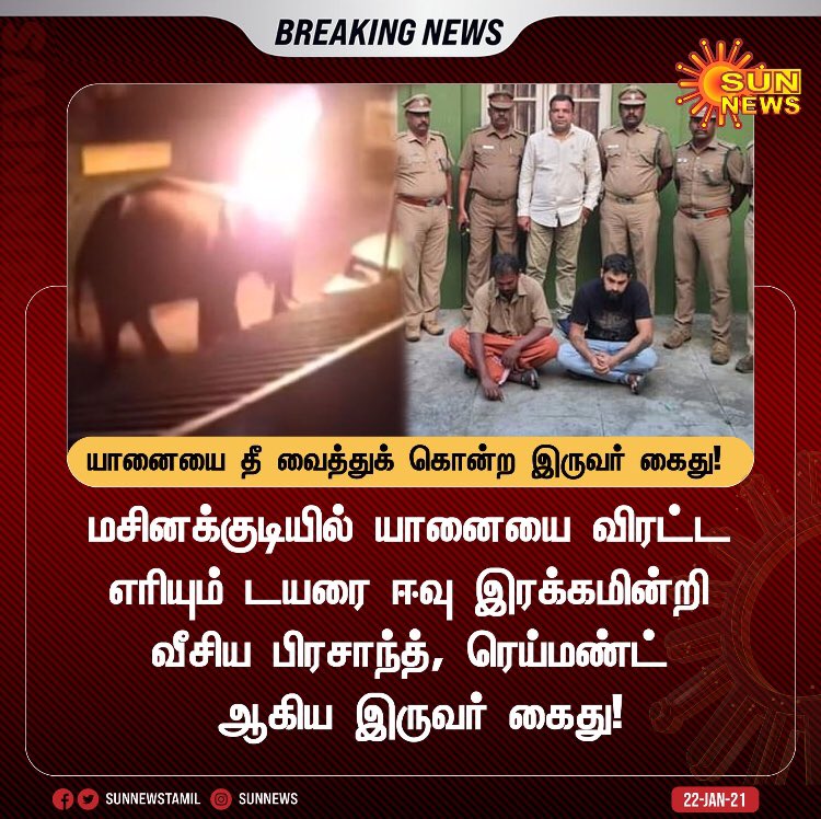 ArjunSaravanan5's tweet photo. மறக்க வேண்டாம் மனிதனே!!

மனிதன் இல்லாவிட்டாலும் இந்த பூமியில் பிற உயிரினங்கள் உயிர்வாழும் . 
பிற உயிரினங்கள் இல்லாவிடில் பூமியில் மனிதன் ��யிர்வாழவே முடியாது.

இது அறிவியல் உண்மை.

யார் மனிதன்? யார் மிருகம்? #ElephantDeath https://t.co/jJpxwLWJfZ