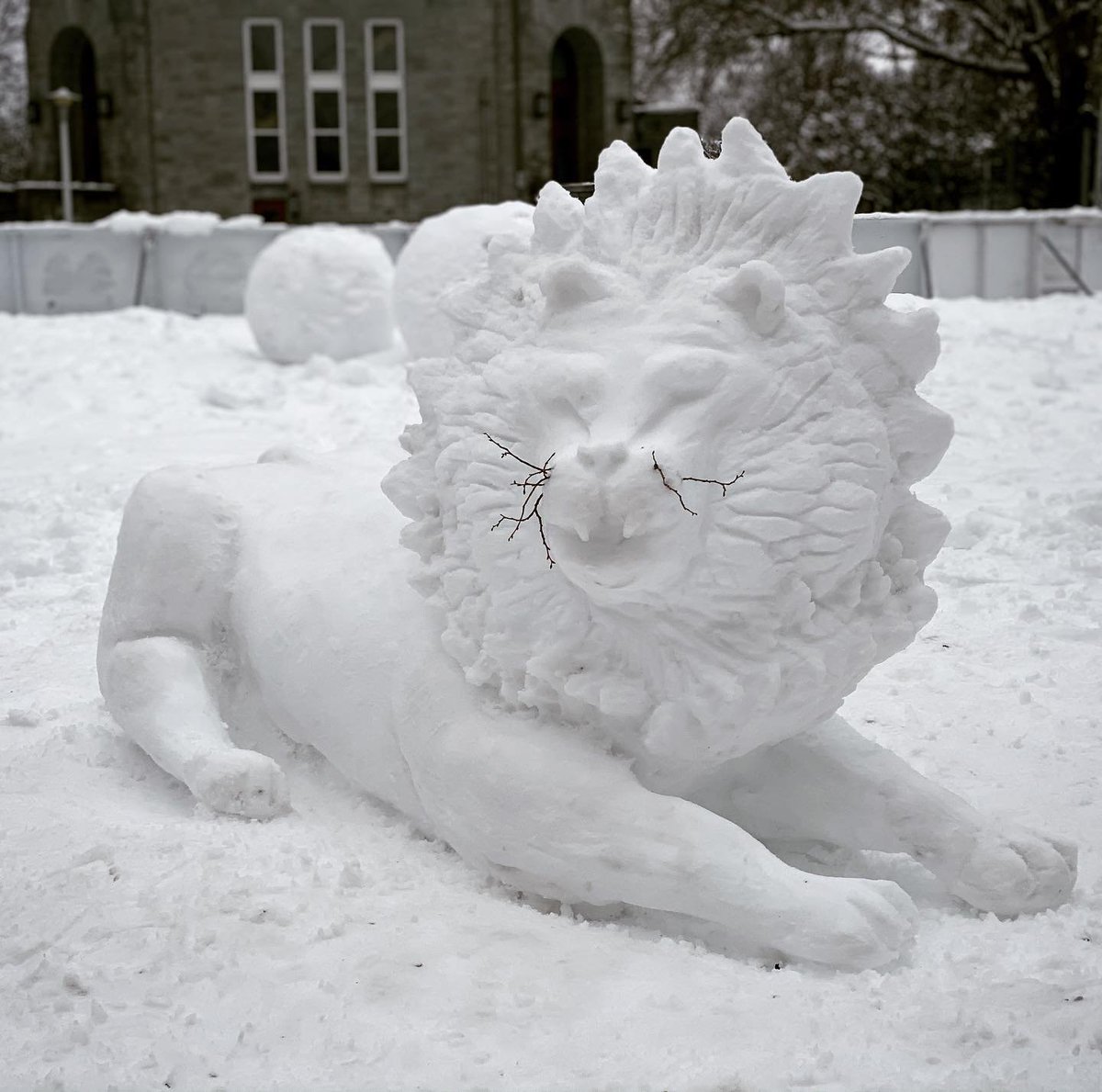 Montreal's tweet photo. ⛄ We can't get over these incredible snow sculptures! 🤩
Hats off to the artists! 👌
📷 merveilleange / lynestemarie / lolasaldanab / vvs_bg / 
#MTLmoments #snow #publicart https://t.co/uUx46avSa2