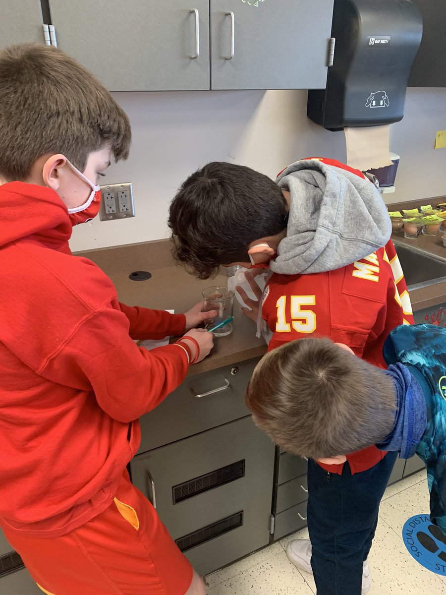 KindlerJoshua's tweet photo. Osmosis Lap in Mrs. Handley’s class. #kidsengaged #sciencerocks #talentedteacher @TheCreekMCMS https://t.co/rOc92LfhZA