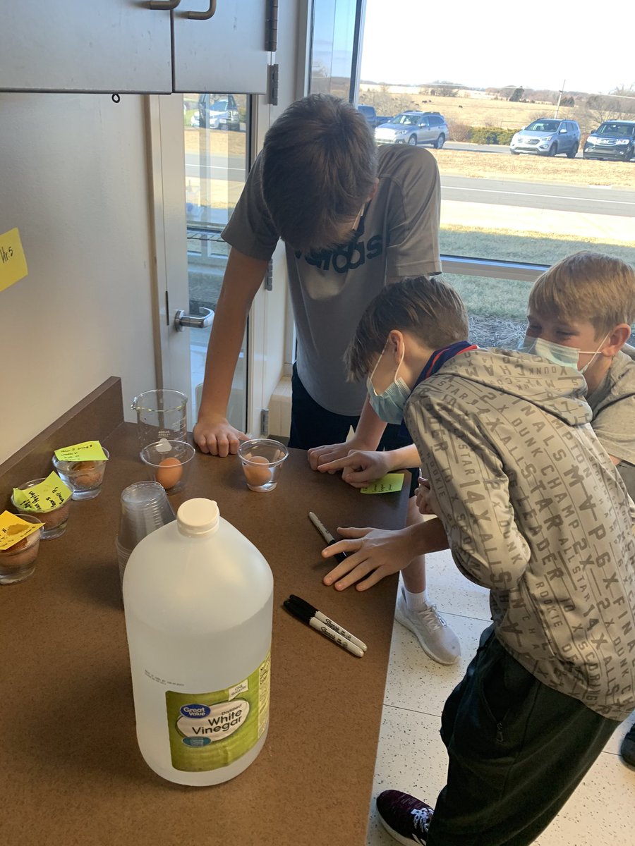 KindlerJoshua's tweet photo. Osmosis Lap in Mrs. Handley’s class. #kidsengaged #sciencerocks #talentedteacher @TheCreekMCMS https://t.co/rOc92LfhZA