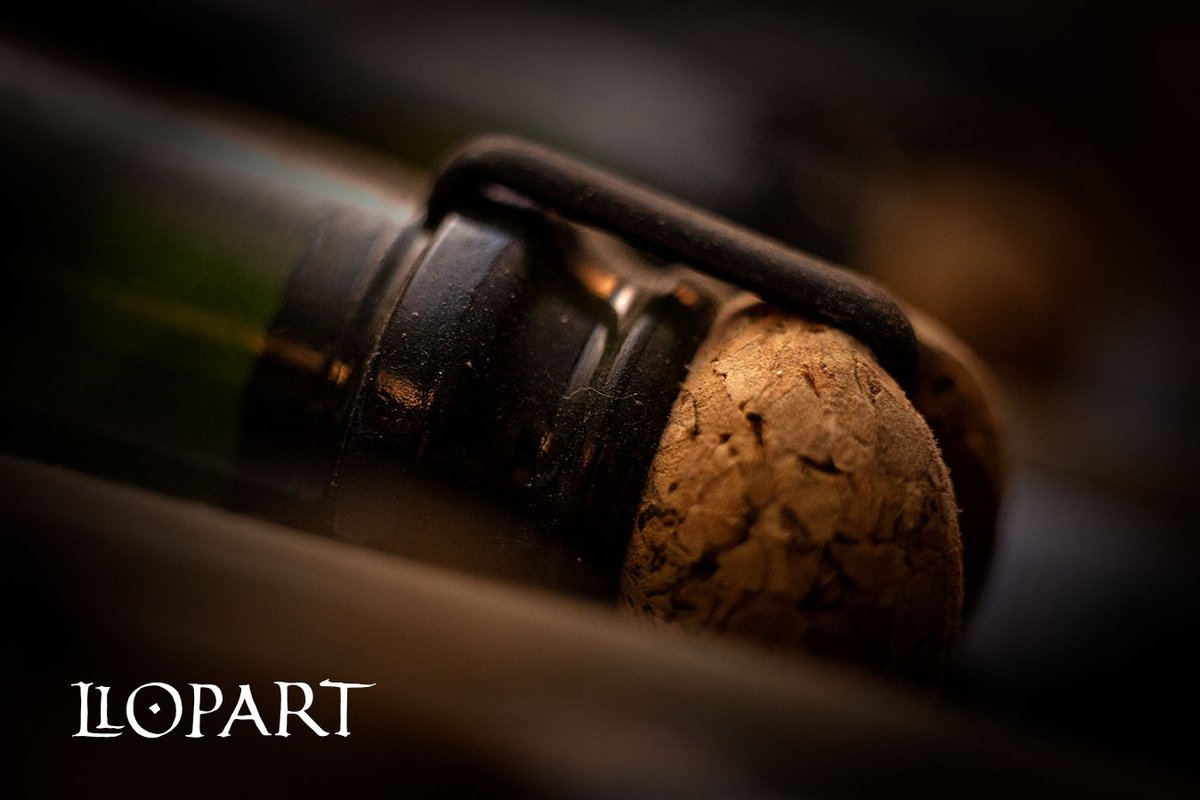 Despite all, days go by and time pushes the moment we are living in.
In the silence of our cellar there are treasures that get magnified and look forward brighter days when we will enjoy the best that earth gives us. 
#Corpinnat #llargacriança #vinshistòrics  #vinosconhistoria