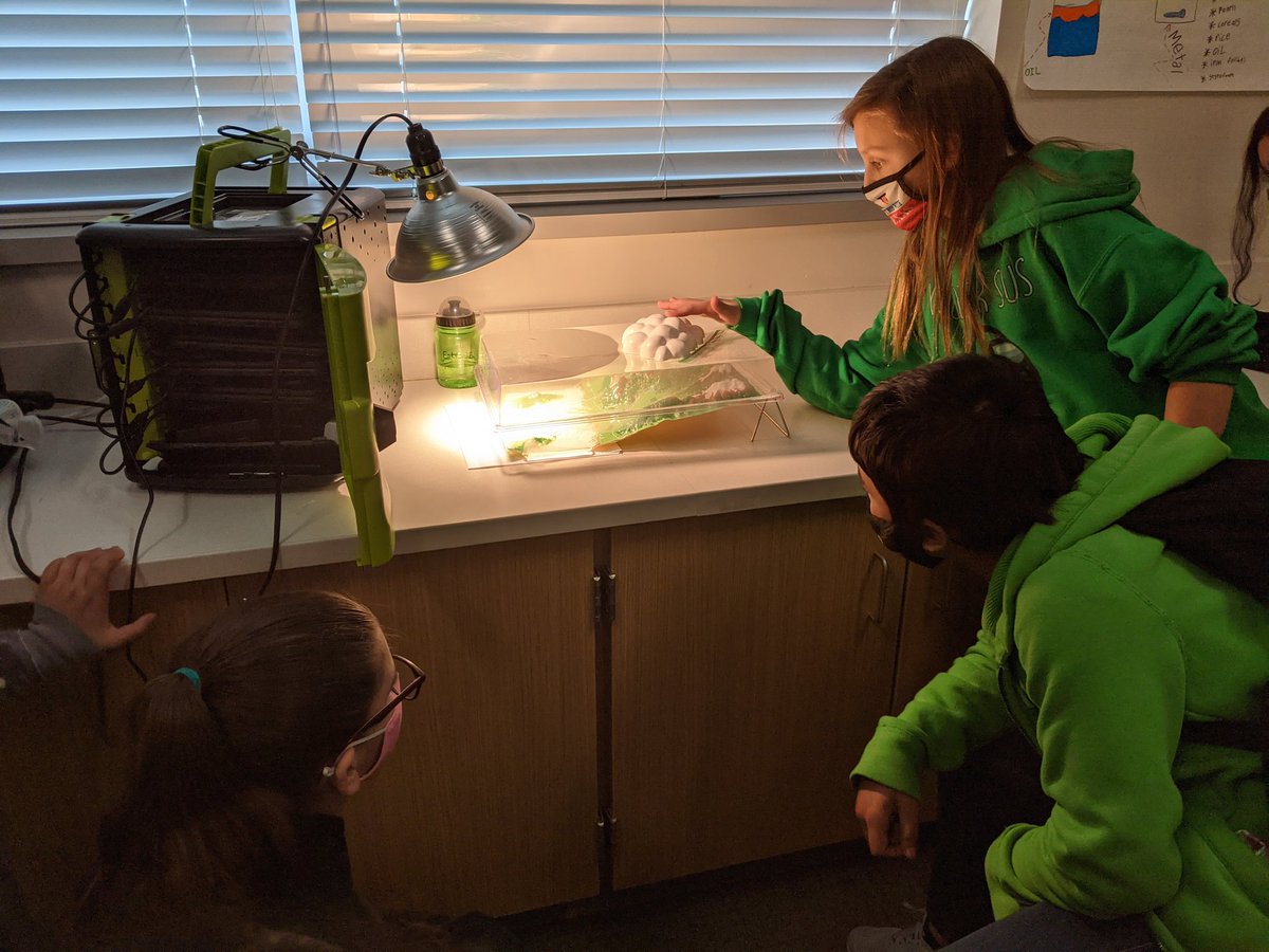Jkeith1217's tweet photo. This week we continued studying the how the sun and oceans interact in the water cycle. The students enjoyed viewing our classroom model as well as creating posters to explain the different parts of the cycle. @SplendoraISD @TimberLakesElem #WeAreSplendoa #TLELakeLife https://t.co/2bn3lK8daO