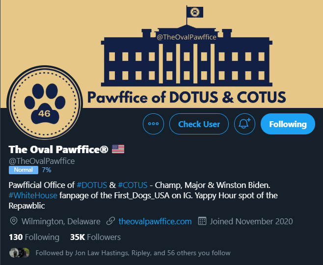 OttawaNewsToday's tweet photo. #Kittygate is getting closer to being solved:
#COTUS = Winston
@TheOvalPawffice https://t.co/0pvNGeeQ0p