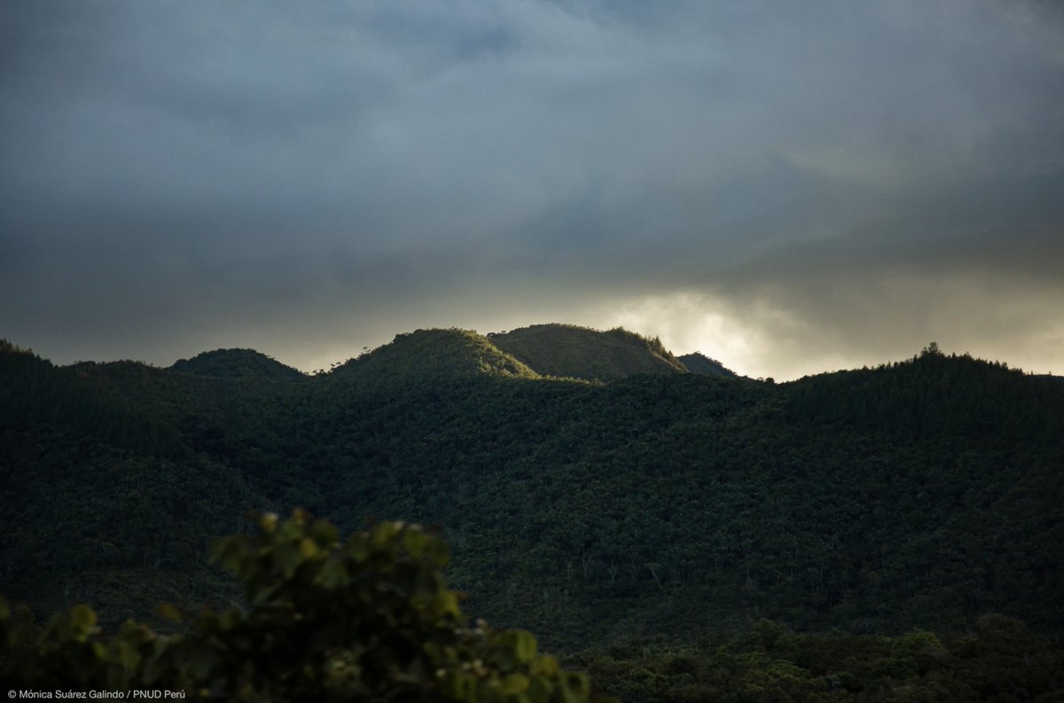 Más de 7 mil peruanos pertenecen a #PueblosIndígenas en situación de aislamiento y contacto inicial. Junto a @MinamPeru y en coordinación con @MinculturaPe iniciamos el estudio para la creación de la reserva indígena Napo-Tigre en Loreto➡️ bit.ly/2MaBfmy