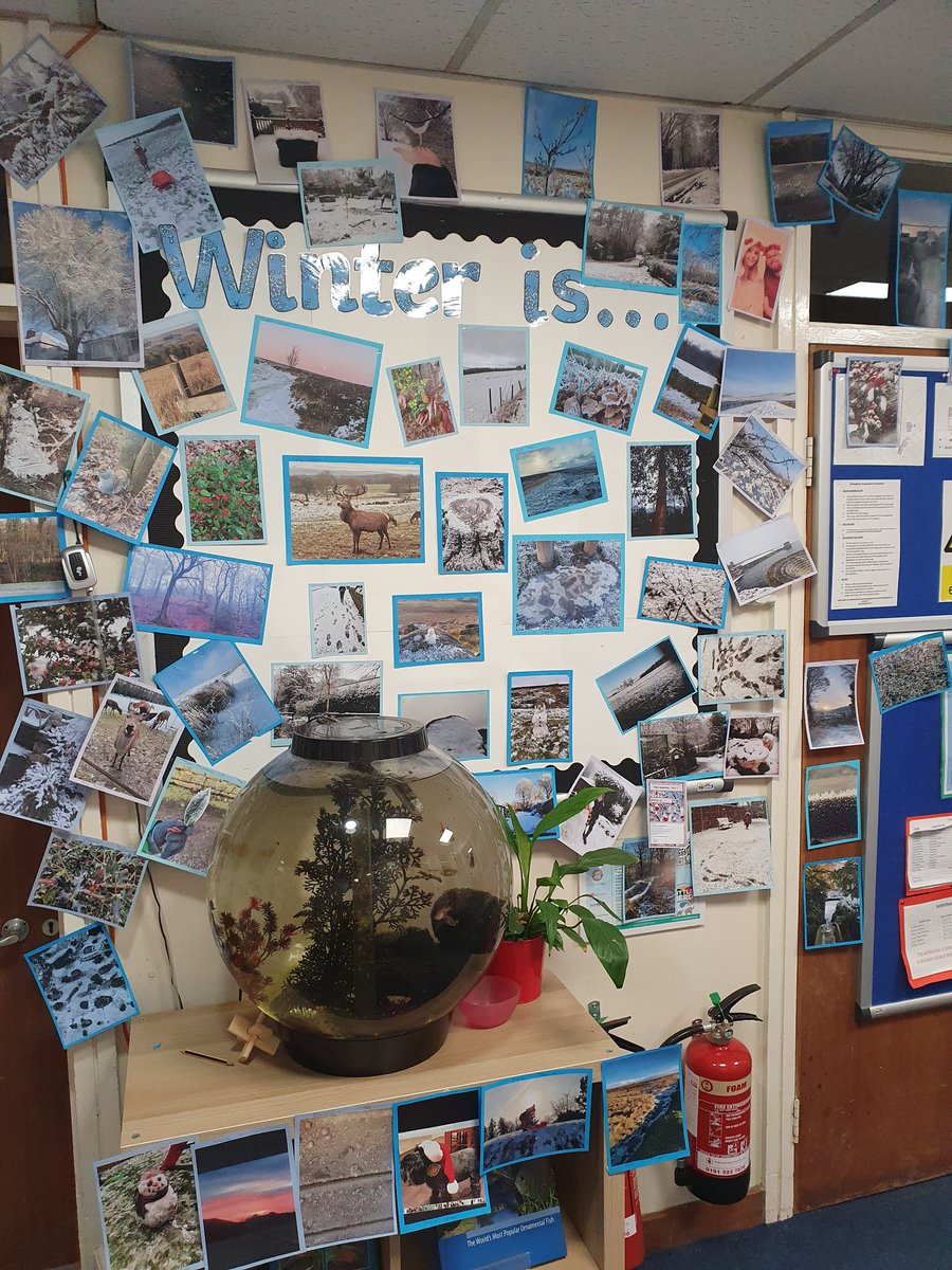 Thank you to everyone that entered the science photo competition 'Winter is...'. The photos have been amazing. I also think I needed a bigger board. Winners will be announced next week. <a href="/DobcroftInf/">Dobcroft Infants</a>