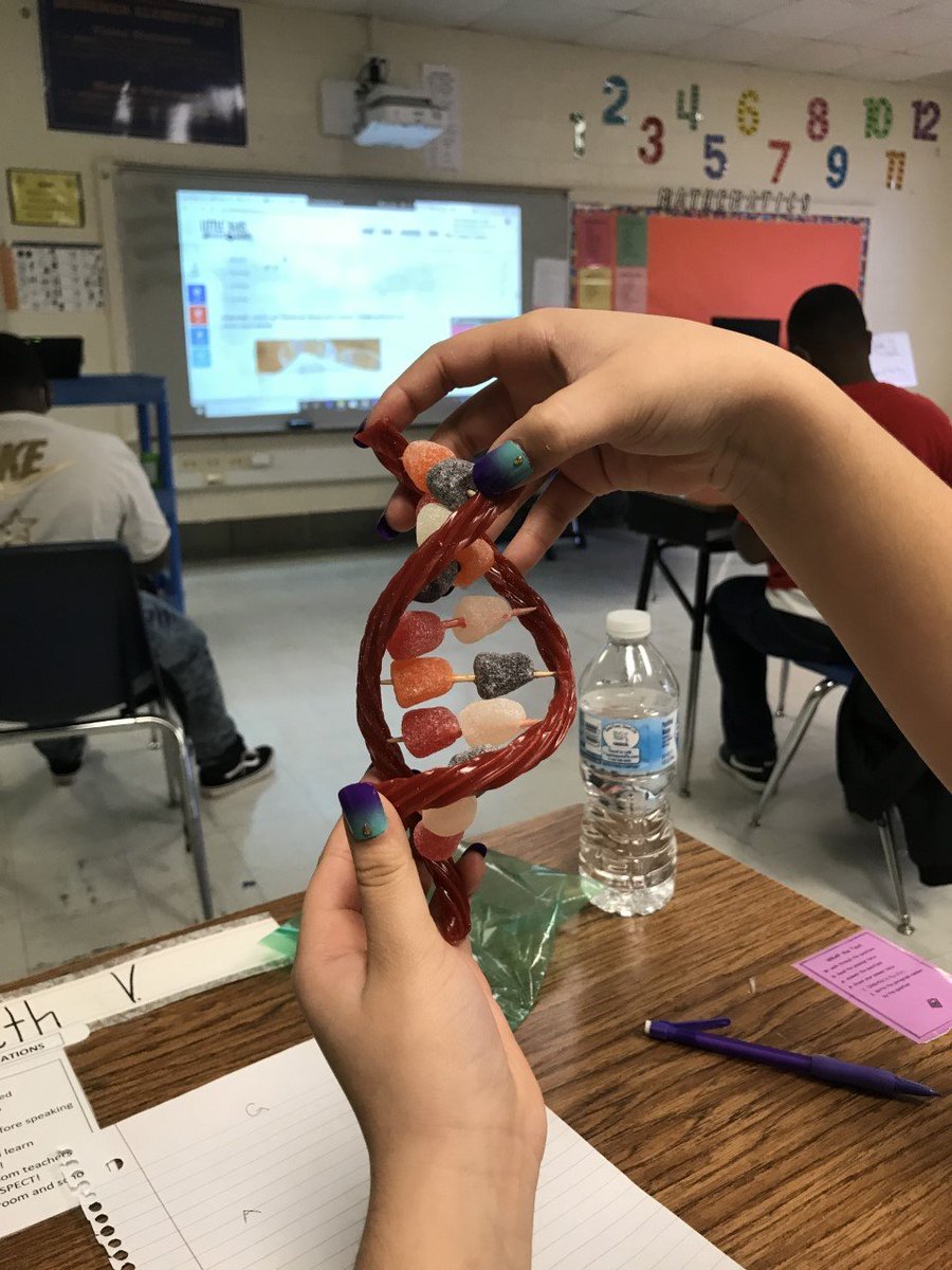 BessemerElem's tweet photo. Our 5th graders are truly enjoying their genetics unit. Check out their DNA strands!  #handsonactivity #sociallydistant https://t.co/5sq8KfHQXL