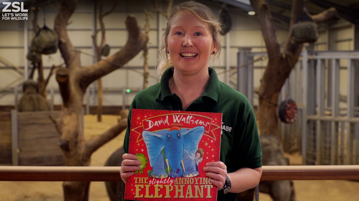 ZSLWhipsnadeZoo's tweet photo. ⭐ For one night only! ⭐ Don't miss Tails from the Zoo with keeper Eimear and our elephants 🐘 - Sun 24 Jan at 6.30pm: https://t.co/3zUV1ICwyT Donating just £5 will help us buy tasty food for our elephants: https://t.co/PiKa1XmzvZ Thank you ❤️ #ZooGoesOn #BedtimeStories https://t.co/PKyxir2zhq
