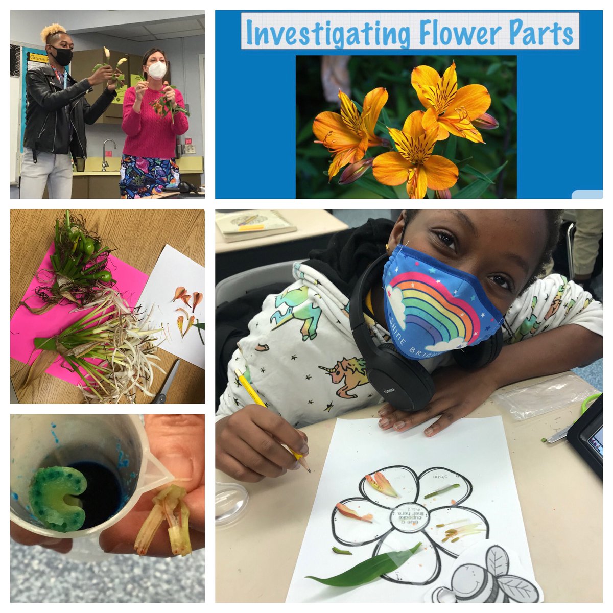 Nancy Bourne tweet media