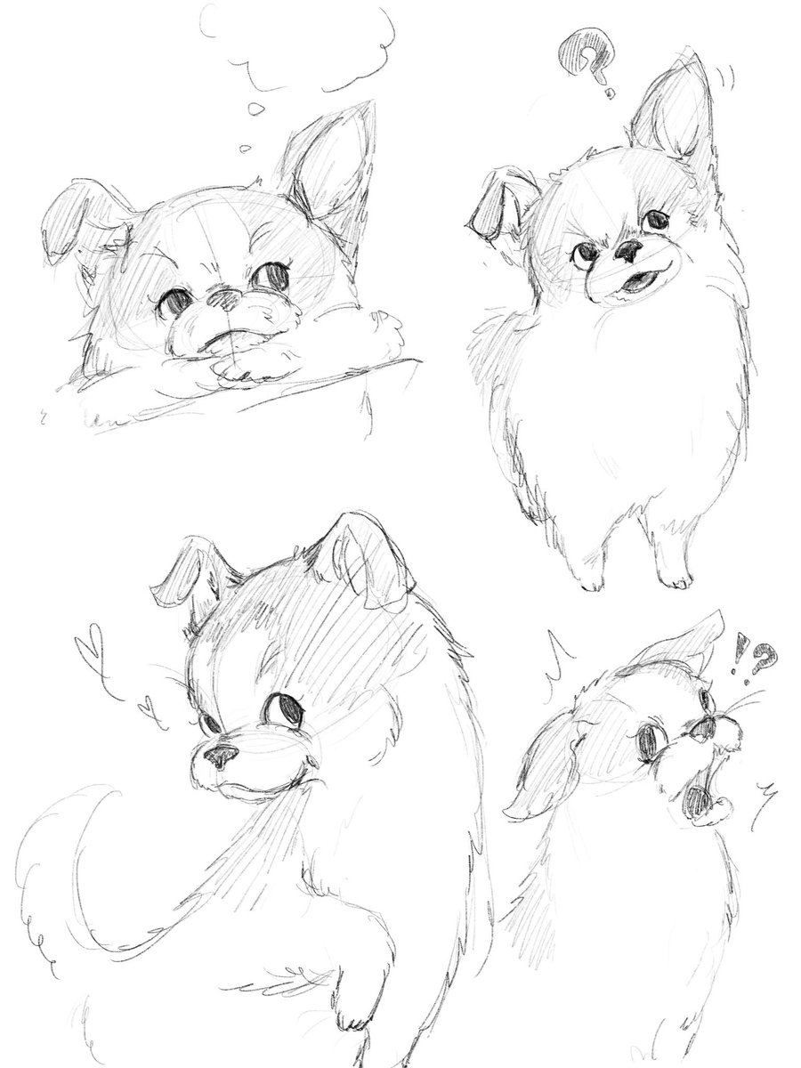 Noco うちの愛犬のキャラクター化らくがき 日々見てると色んな表情がある もっと表情筋とか突き詰めないと 参考に ディズニーのイラスト見て描いたけど 改めてほんとディズニーはすごいな イラスト イラスト好きな人と繋がりたい 愛犬 犬のいる暮らし Noco うちの愛犬のキャラクター化らくがき 日々見てると色んな表情がある もっと表情筋とか突き詰めないと 参考に ディズニーのイラスト見て描いたけど 改めてほんとディズニーはすごいな イラスト イラスト好きな人と繋がりたい 愛犬 犬のいる暮らし