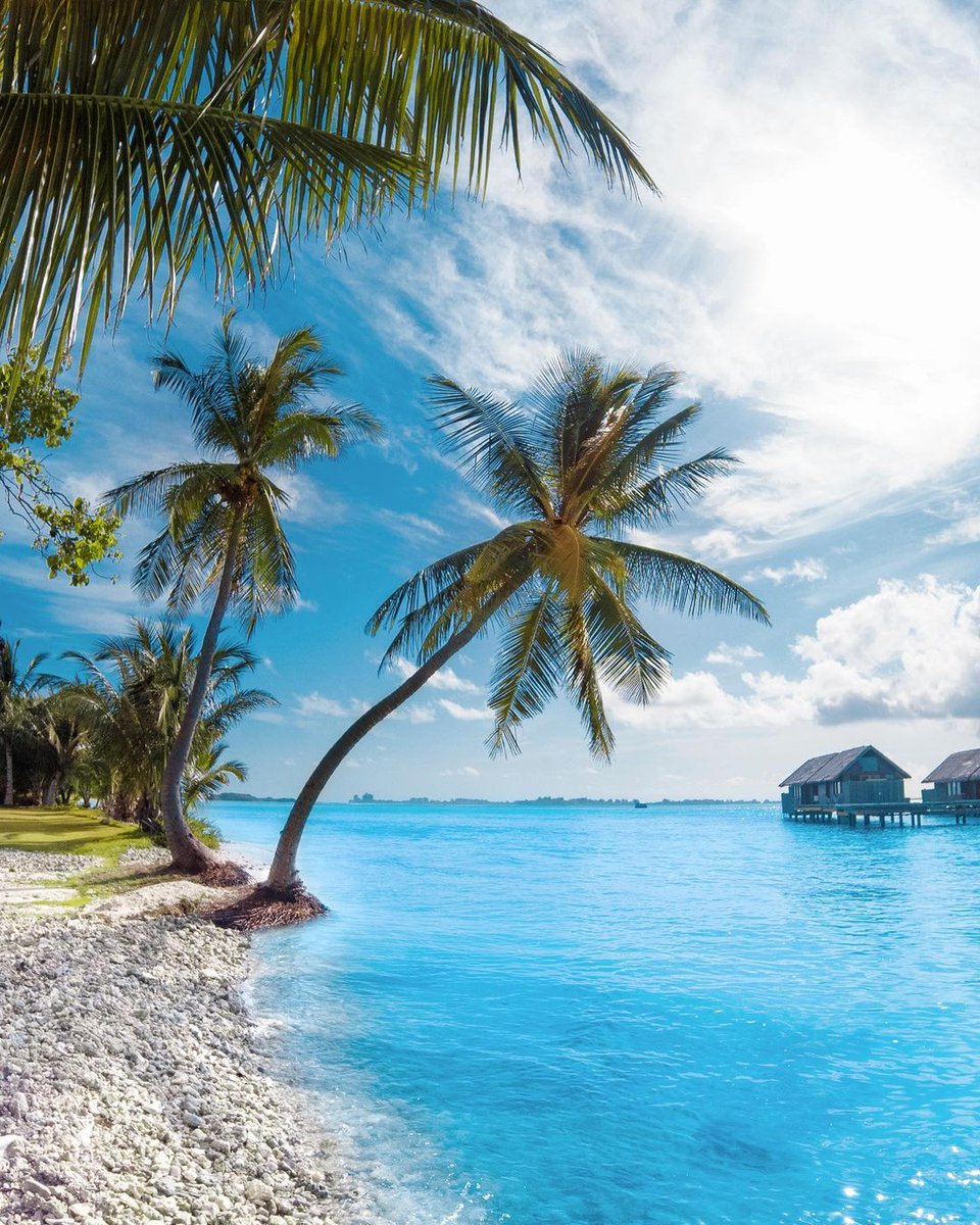 Greatest Vacations tweet media