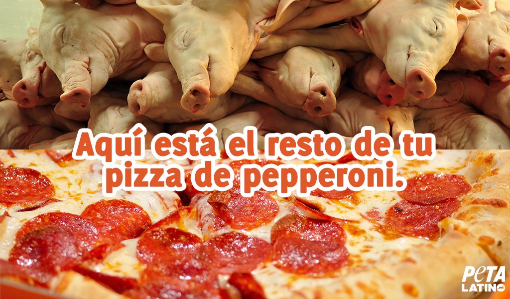 PETA_Latino's tweet photo. No importa cómo lo cortes, tu pepperoni es el cadáver en descomposición de un animal. 😔

#GoVegan https://t.co/sC3ZFf5FDr