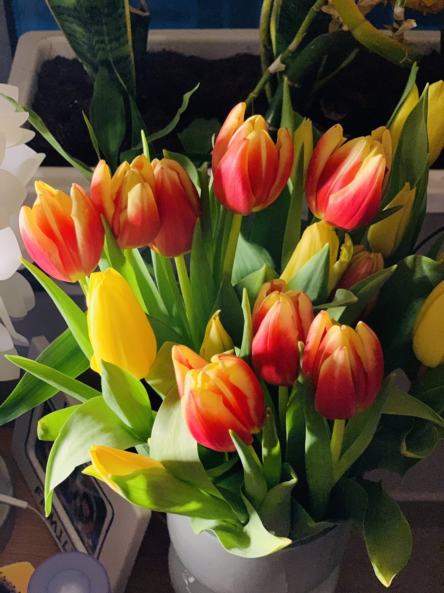 Yza Estrellan (@yehzay) on Twitter photo 