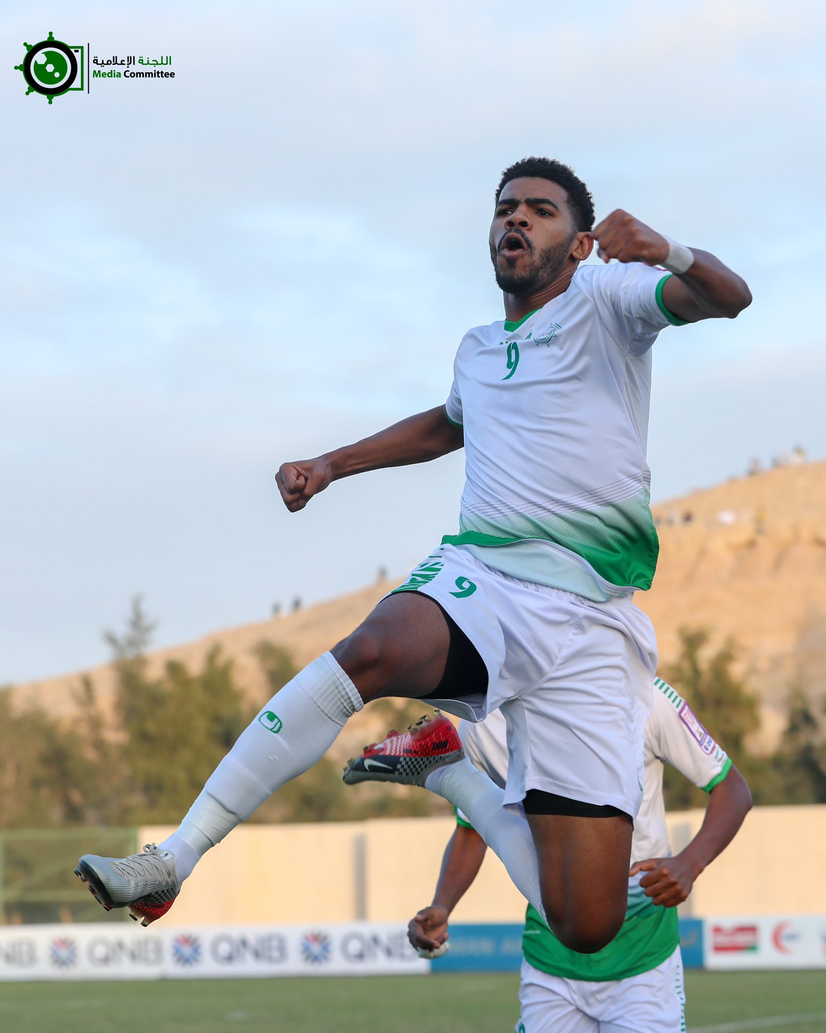الصورة