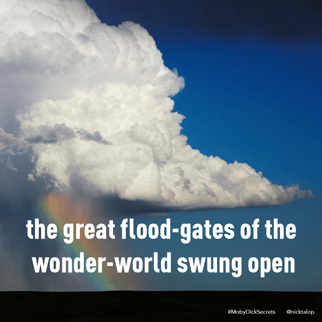 nicktalop's tweet image. #mobydick #mobydicksecrets #chapter01 #bookreading #book #books #interpretation #bookstagram #bookaddict #booklover #booknerd #bookworm #bookaholic