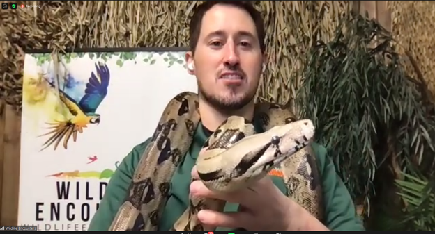 What an unforgettable day for our students! We had a virtual Wild Kingdom Encounter today, courtesy of Mutual of Omaha. #WildKingdom