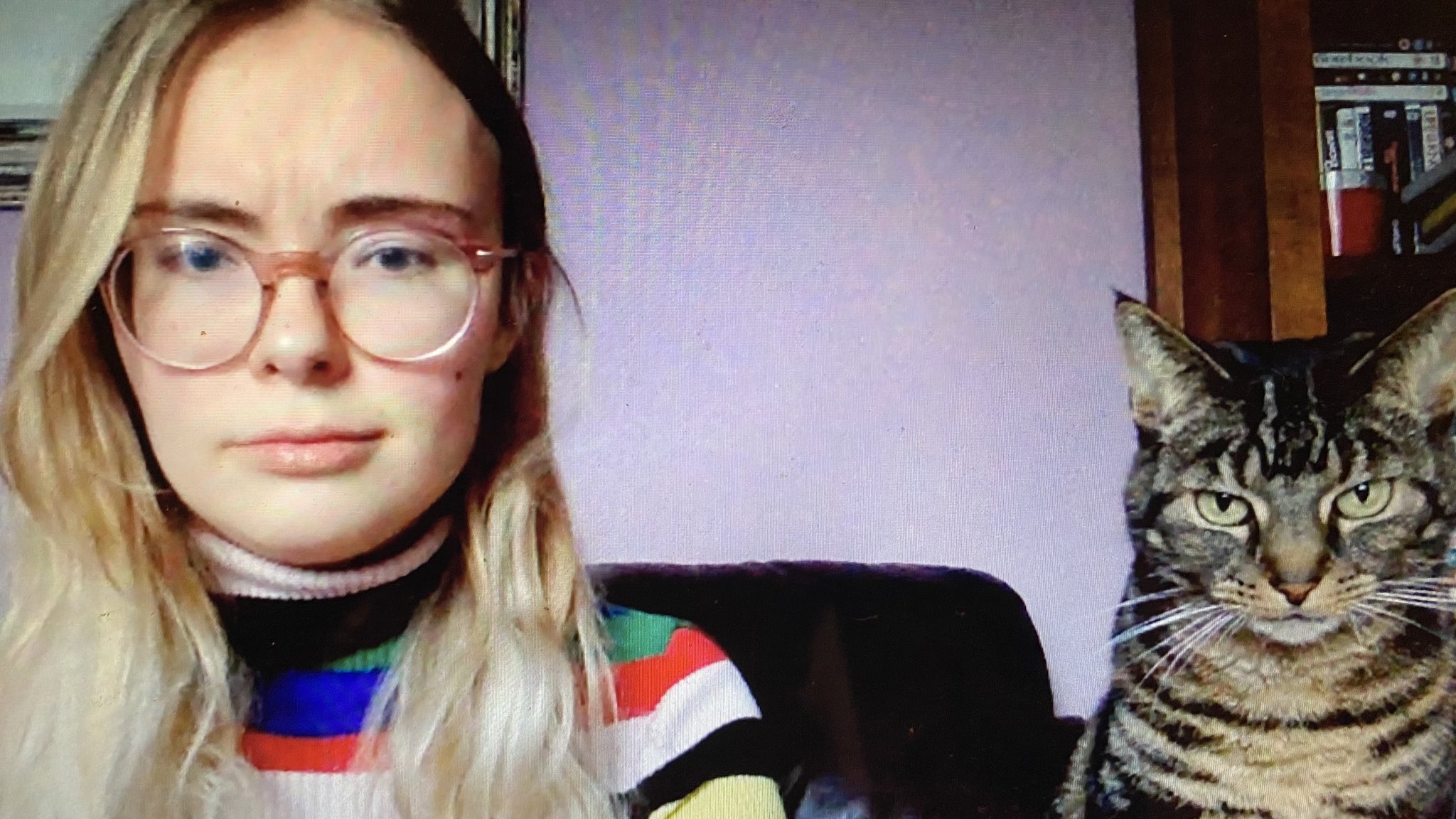 Abby Tomlinson My Cat Has Become Obsessed With Sitting In On My Zoom Calls And Has Now Perfected The Art Of Glaring Straight Down The Camera T Co Tqwfdgmgzu