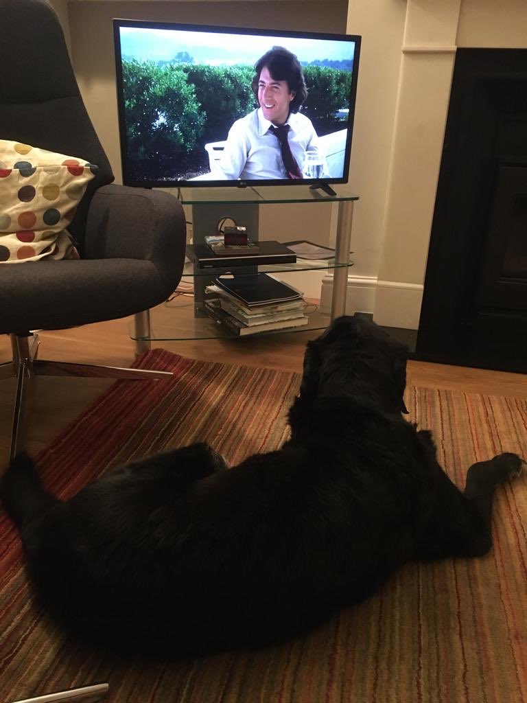 soppytoppy's tweet photo. Have been watching All the President’s Men, seemed apt. This week. How I love Dustin Hoffman.. https://t.co/qL12RO8QO2