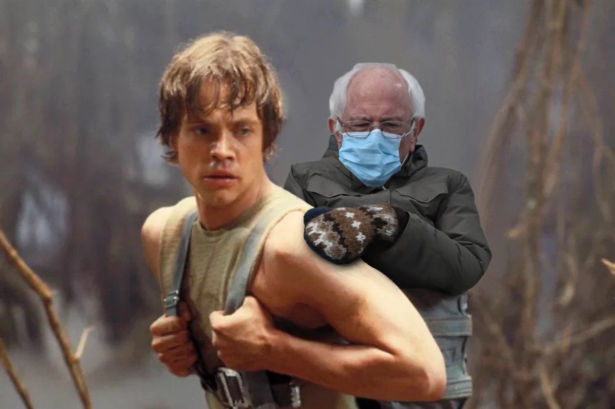 Jedi Master Bernie trains Luke
#markhamill #LukeSkywalker #BernieSandersMittens #starwars #jedimaster #Yoda