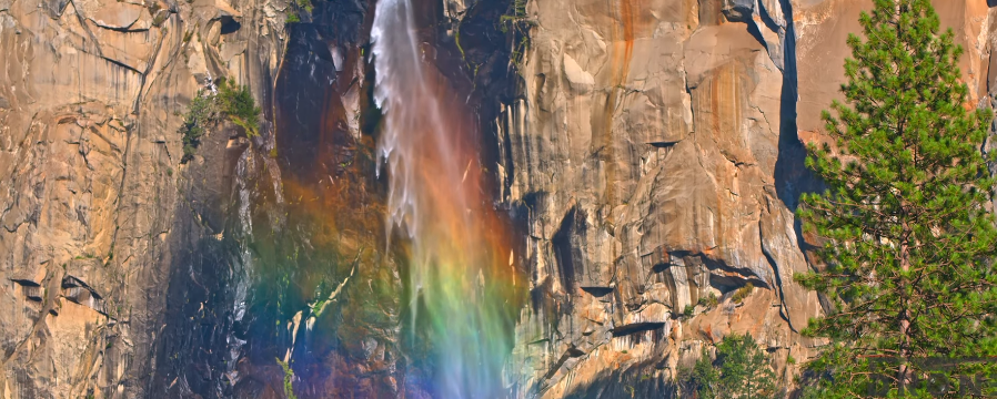 Accu_Comp's tweet photo. Since you can't go on vacation
Enjoy going to a beautiful place: Yosemite National Park, USA
#accucompstrategy- Reset. Transform. Success.
#Accu_Comp #usa #NationalPark #beauty #naturelovers #vacation #travel #California #yosemite #FridayFeeling
https://t.co/mJTYEatubP https://t.co/WZoko1UpqO