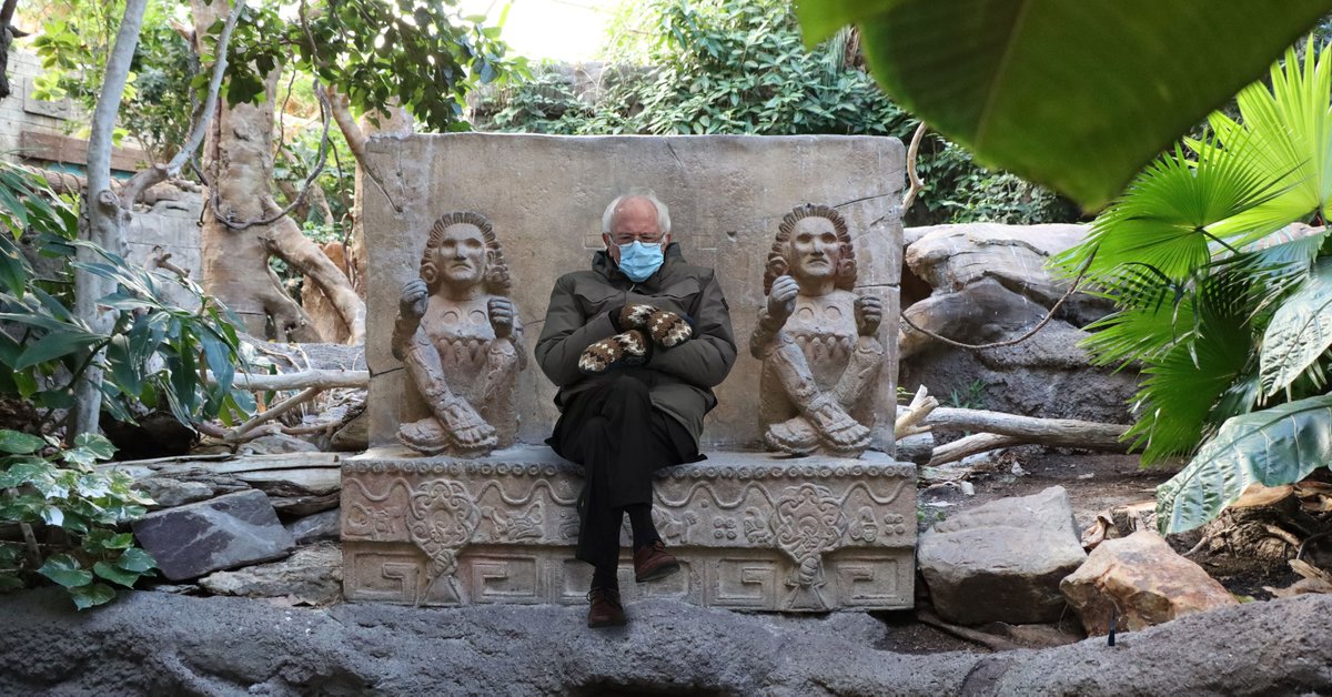 TulsaZoo's tweet image. Look who we spotted warming up in the rainforest this morning.