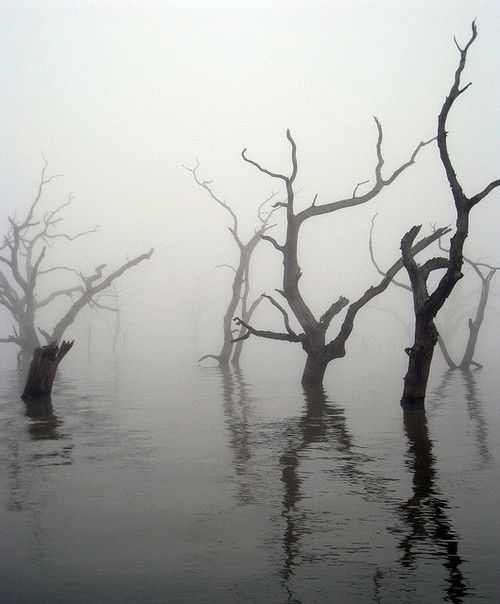KairaEridan's tweet photo. #Proyectoanima

-Fantasmas y mundo de los muertos
-Época victoriana
-Salseos palaciegos
-Este es el que maybe te vendo como retelling del mito de Orfeo y Eurídice
-Traición, muerte, ambición por conseguir una cosita https://t.co/AsnpAvYRFN