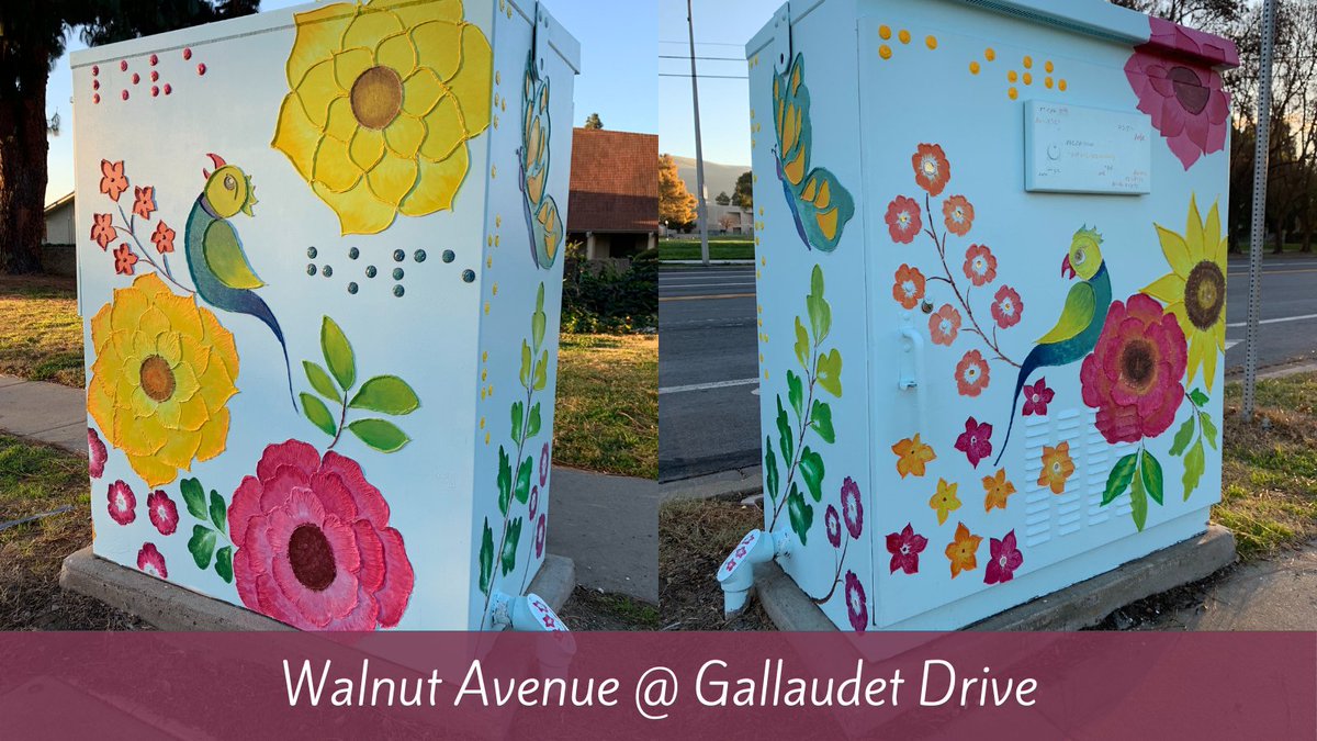 A special addition to boxART! program! At Walnut and Gallaudet, a box for #SchoolfortheBlind students. Sponsored by a resident and painted by artist Birva Nayak. Features braille and raised designs. Thanks to all who helped bring this accessible #art to #Fremont! @CSBCheetahs