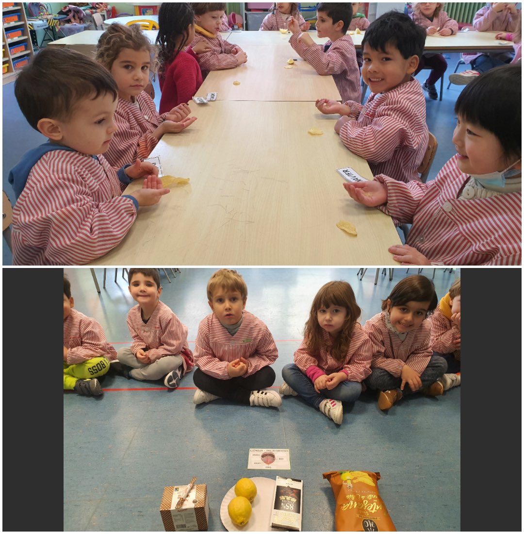 SagratCorDip's tweet photo. Els Tucans i les Tortugues hem estat aprenent moltes coses dels cinc sentits. Hem après moltíssim! Feu la prova i pregunteu-nos!
#sagratcordiputacio #fundacioneducativasofiabarat #infantil #p4 #projecte #elssentits #medi #jocs #aprenem #segontrimestre #educació #escola #escoles https://t.co/bSWQwgCCMN