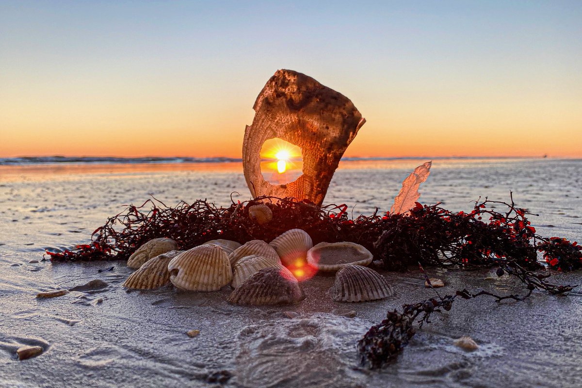 Live the DREAM in #NewSmyrnaBeach #Florida

#MillionDollarListing #NSB
🦩🌴👇🏻Click Here👇🏻🧜🏻‍♀️
bit.ly/MillionDollarL… 

#MoveToNSB #MoveToFlorida #RetireToFlorida #NSBHomes #NSBCondos #RealEstate #REALTOR #BeachHouse #DreamHome #BeachTown #Ocean #Beach #LoveWhereYouLive #HappyPlace