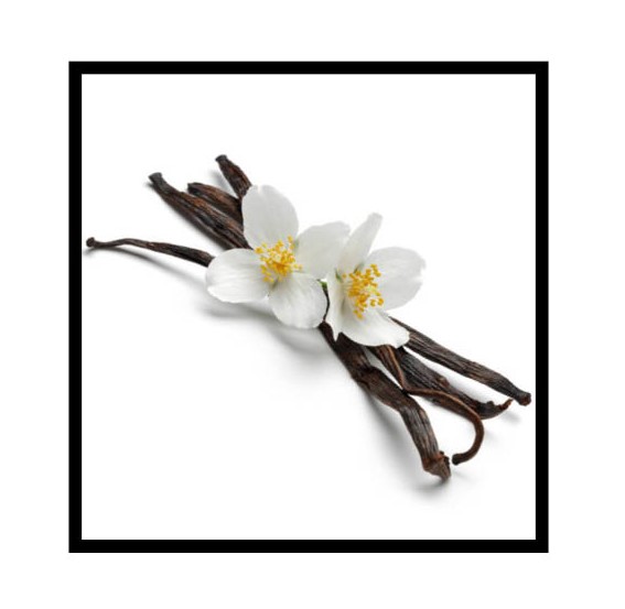 NINUperfume's tweet photo. FLIRTY FRIDAY SCENT: Vanilla🔥🥰A spice derived from orchids, considered to be a powerful aphrodisiac with sweet, cozy, comforting &amp; pleasing hommy feeling to it. 😍
Check in the comments for some friday fun 😉

#ninuperfume #smartperfume #perfume #ces2021 #luxuryperfume #AI https://t.co/SVLUl04oj6
