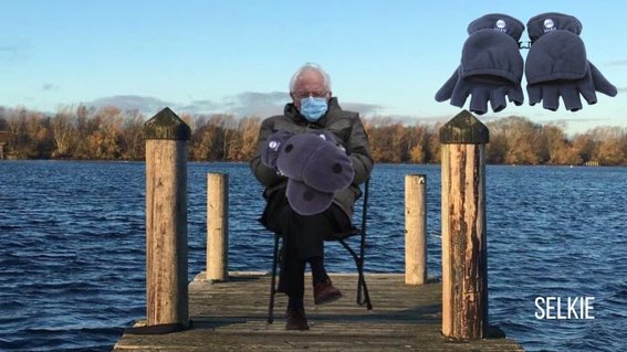 SelkieSwimCo's tweet photo. We usually stay away from politics on here, but when MITTENS were involved we just had to get in...π Want the same? No problemβ‘οΈ https://t.co/DgW0Lzy0MO
@AcuteMedEd @KJbeechey
#mittens #sharetheselkielove #neverbecold #berniesanders https://t.co/pGVJ36rbUP