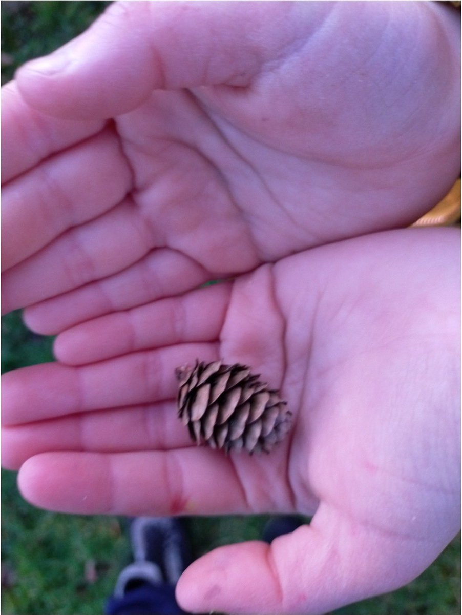 StCharlesGla's tweet photo. Some more #FreshAirFriday photos from the children’s #WintryWalk this afternoon.  Looks like everyone has enjoyed some activity this afternoon. The photos will now be printed off and displayed on our #OutdoorLearning wall to show we are continuing to work on our priorities. https://t.co/cNKxRrW4Xg