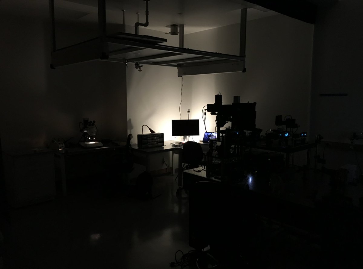 Lab spaces trend towards hospital/factory lighting approach: a lot of light, everywhere, without much of shadow/light balance.It does look good on renderings (1) but in reality we need and use more localized light sources (extreme case: 2) #sciArch 25/N
