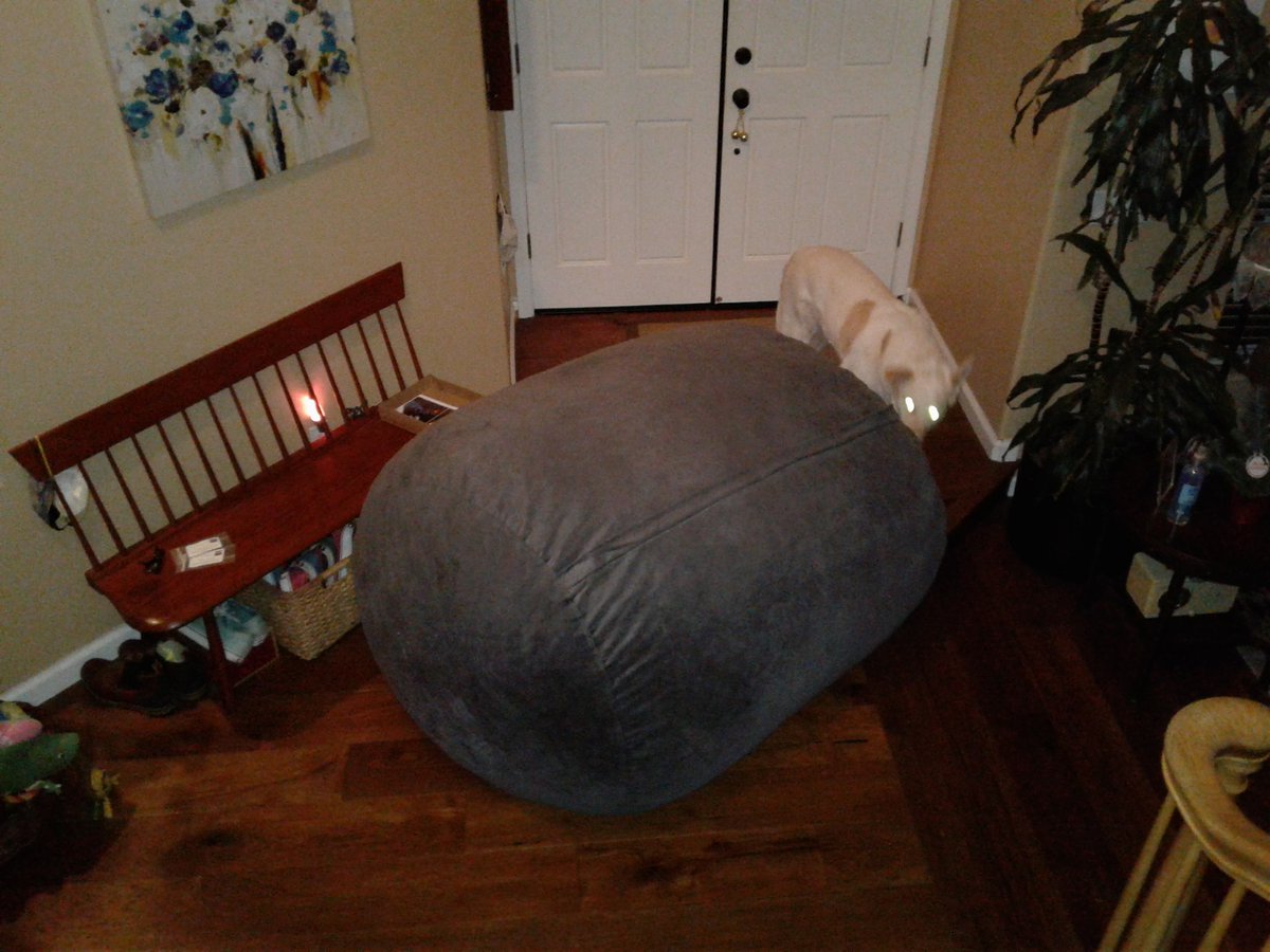 SQUEAKYCHEESEVO's tweet photo. Don't know what the heck it is, either. But right after it landed in our foyer, that #creature with the glowing eyes showed up. Someone got a number for the #AirForce?

#UFO, #UFOs, #alien, #spaceships, #alienphenomenon, #thealiennextdoor, #strangepets, #littlegreendogs https://t.co/skd0fyfVMH