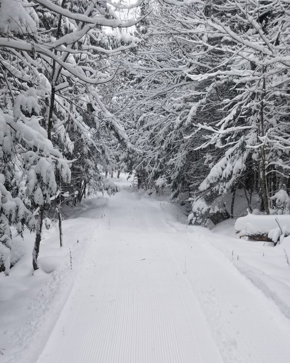 NorthWoods tweet media