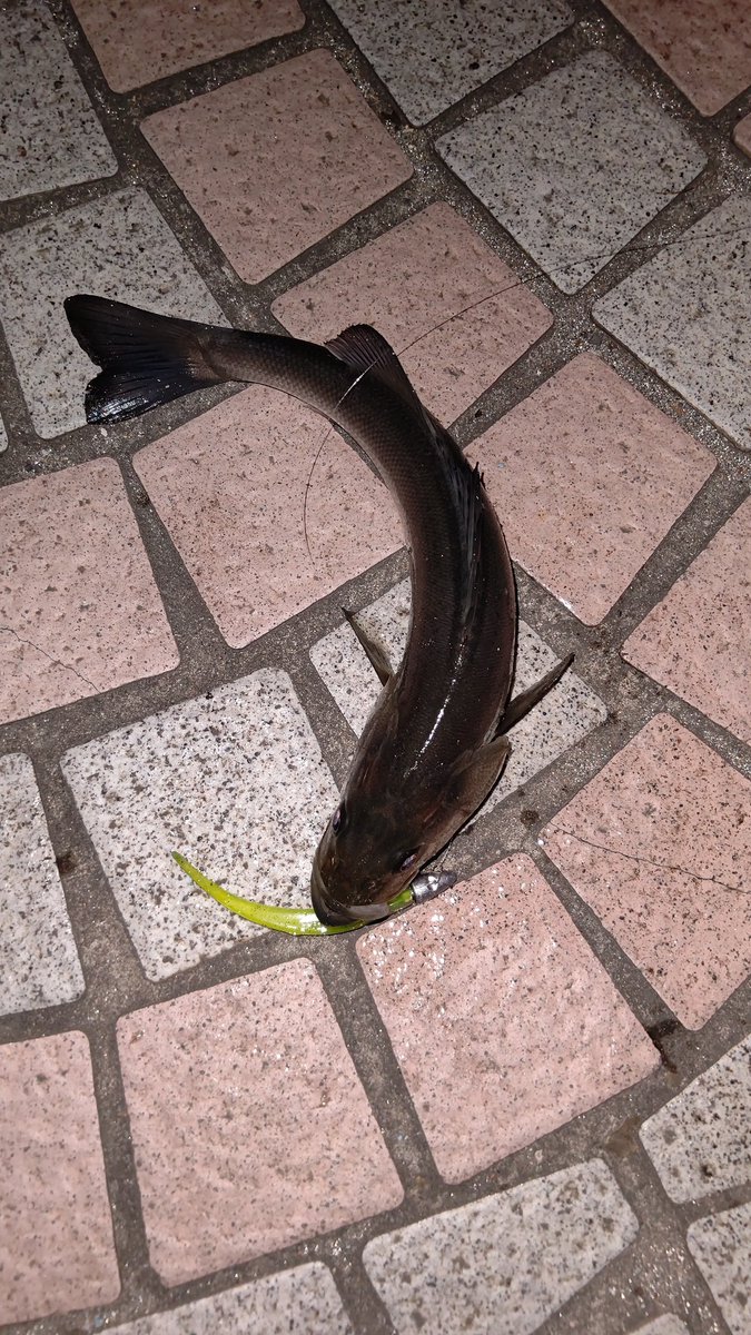 スリートラップ