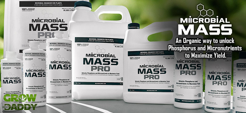 growdaddycanada's tweet photo. In stock: Microbial Mass! Free shipping on $99+! https://t.co/D0sZz1l1Tv https://t.co/heEctW55me
