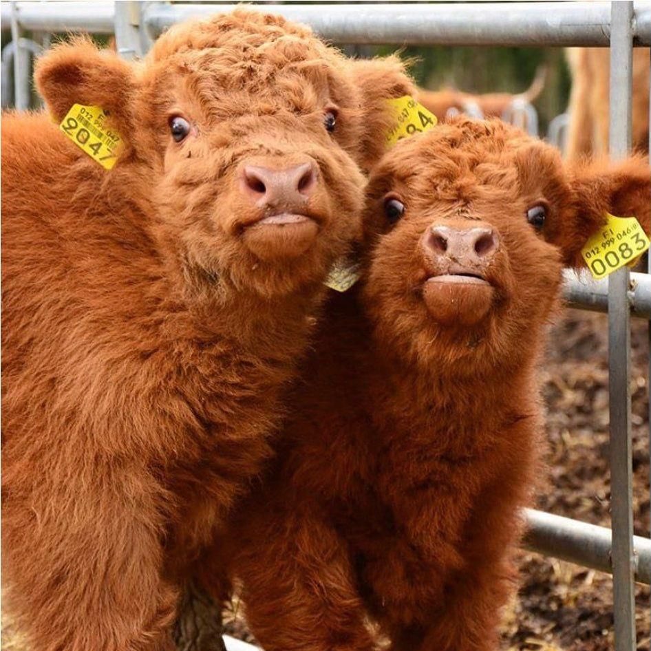 they belong together as small and tall ^^