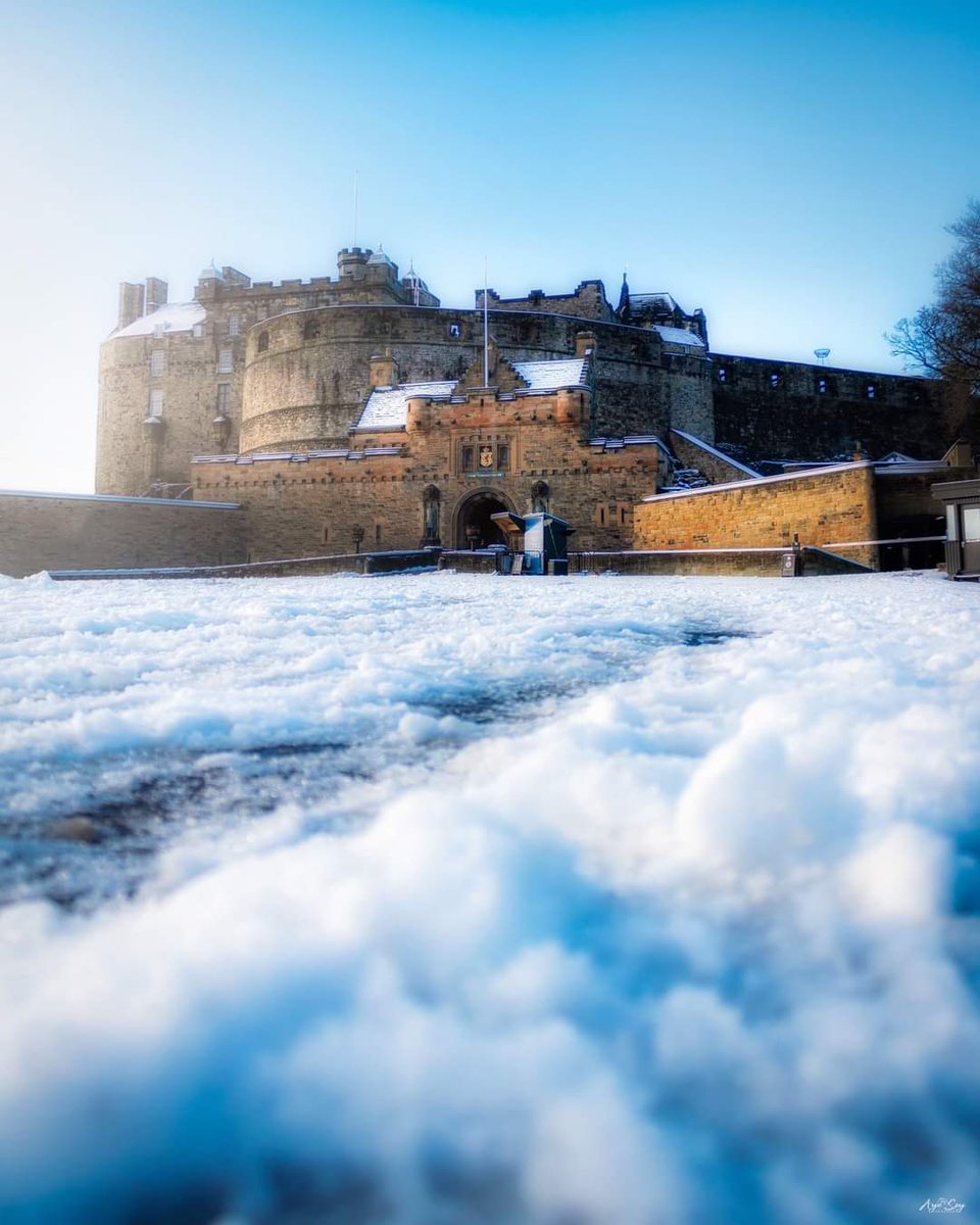 Scottish_Banner's tweet photo. @edinburghcastle rolling out the white carpet.
Great 📷 @AyeSpyPhotos
#EdinburghCastle #Snow #Edinburgh #Scotland #ScottishBanner #LoveEdinburgh #ScotlandIsNow #LoveCastles #AmazingEdinburgh #ThisIsEdinburgh https://t.co/y0dFGMYN6r