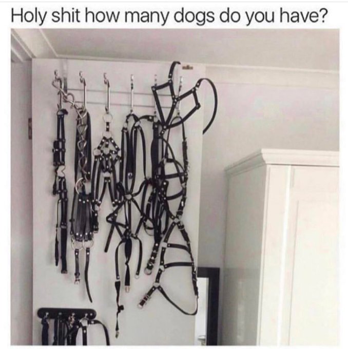 #fetish #bdsm #findom #domme 😈 Do what makes you happy, mate. I don't judge. https://t.co/fgAHku8Xob<a href="/tag/fetish"class="tags">#fetish</a><a href="/tag/bdsm"class="tags">#bdsm</a><a href="/tag/findom"class="tags">#findom</a><a href="/tag/domme"class="tags">#domme</a>