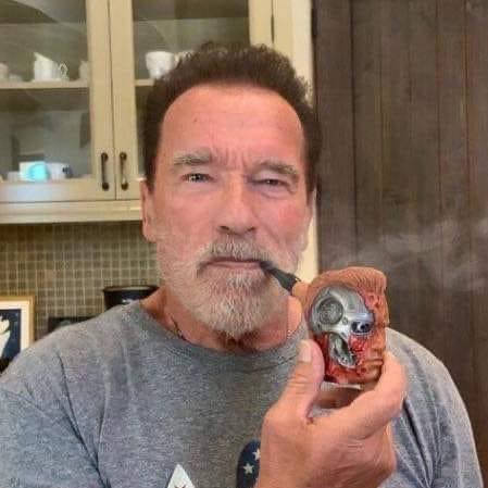 A gift made from a fan 😎