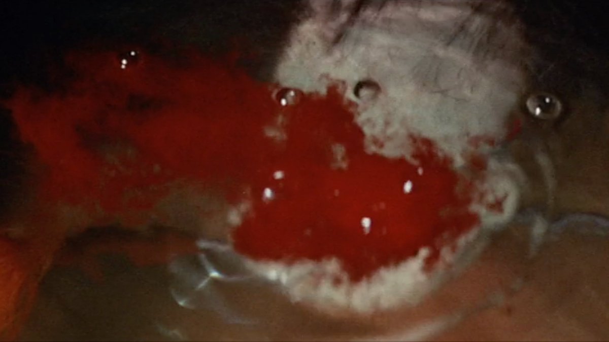 NUNS THAT BITE (Makiguchi, 1977)