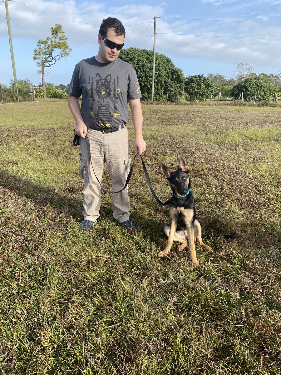 GlobalOutpostK9's tweet photo. Going through our puppy classes with this little one. #wetrainallbreeds #puppyclass #germanshepherd #gsd #basicobedience #dogtraining https://t.co/9JCjTRMl3K