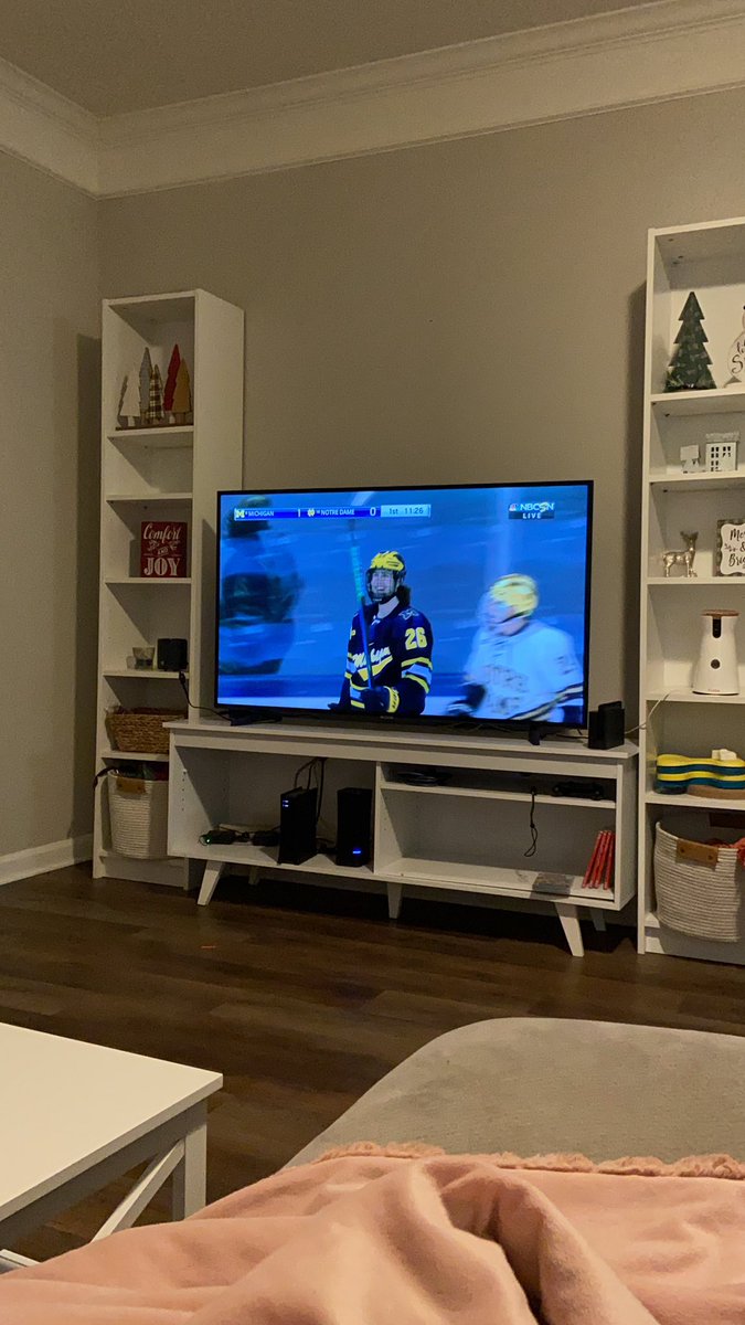 ColeNutrition's tweet photo. Now that I live in Indiana I can watch cawwwwledge hockey on a Friday night @NDHockey https://t.co/NlgkLFW6Zt
