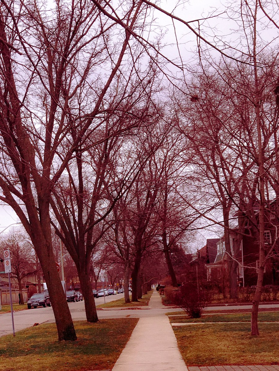 Great smile ratio shown on today’s stroll. Every smile or nod was acknowledged or initiated. Even the guy in the pickup who cut me off gave me the sucks to be waking nod. 5 stars, would walk again. #yqg