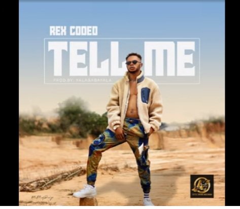 QueenterMando's tweet image. Sure vibe #TellmebyRexcoded